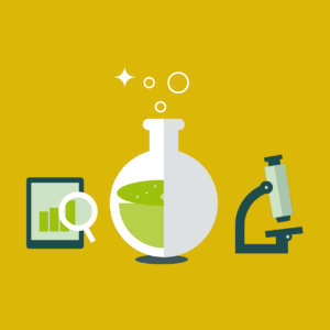 Grade 6 Science and Technology